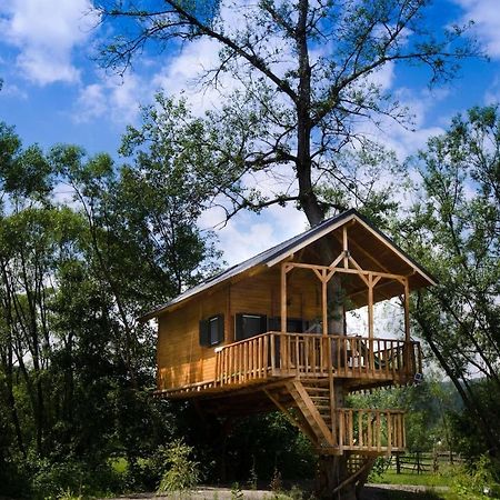 Cuibul Vulturilor - Casuta In Copac Villa Moisei Bagian luar foto