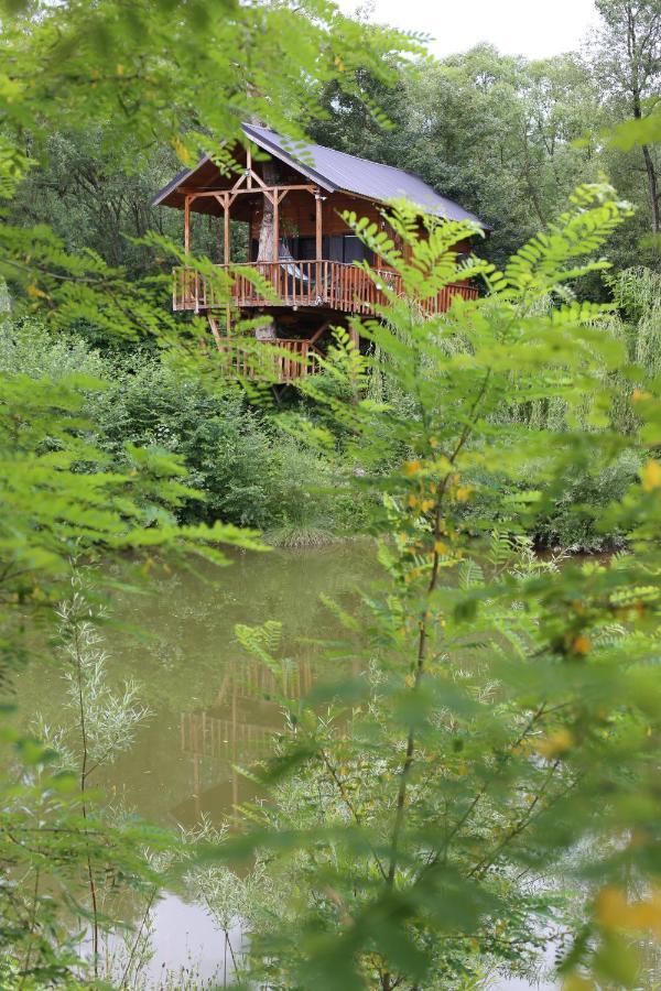 Cuibul Vulturilor - Casuta In Copac Villa Moisei Bagian luar foto
