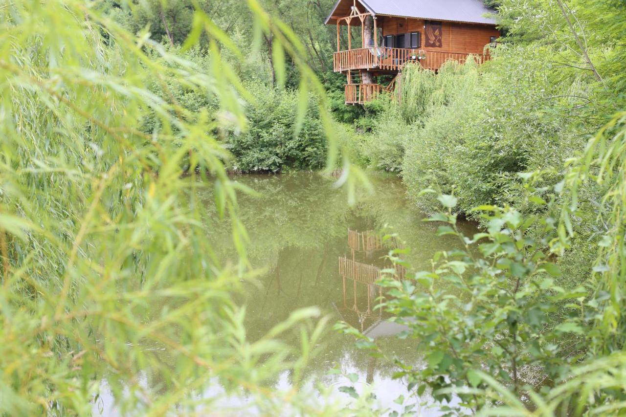 Cuibul Vulturilor - Casuta In Copac Villa Moisei Bagian luar foto