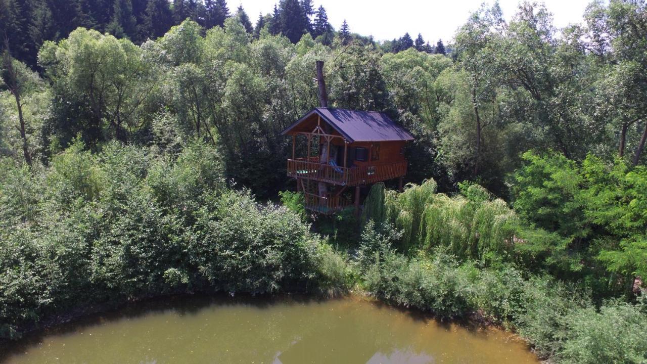 Cuibul Vulturilor - Casuta In Copac Villa Moisei Bagian luar foto