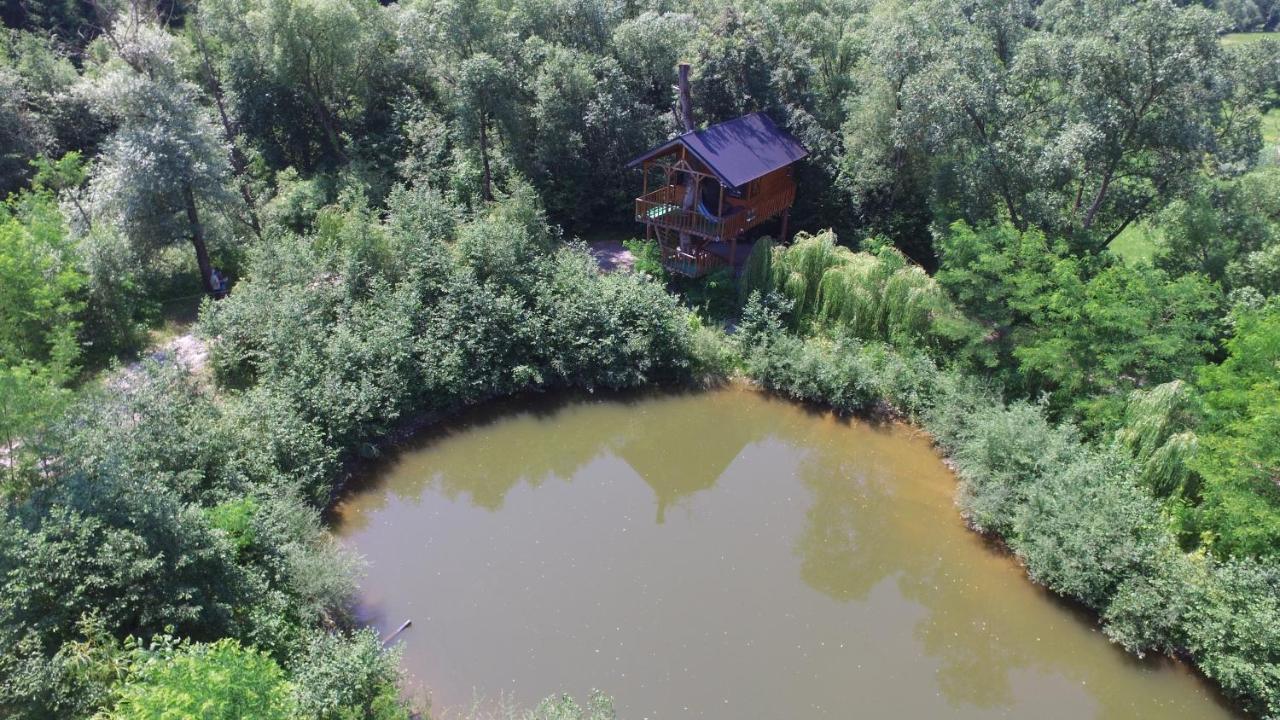 Cuibul Vulturilor - Casuta In Copac Villa Moisei Bagian luar foto