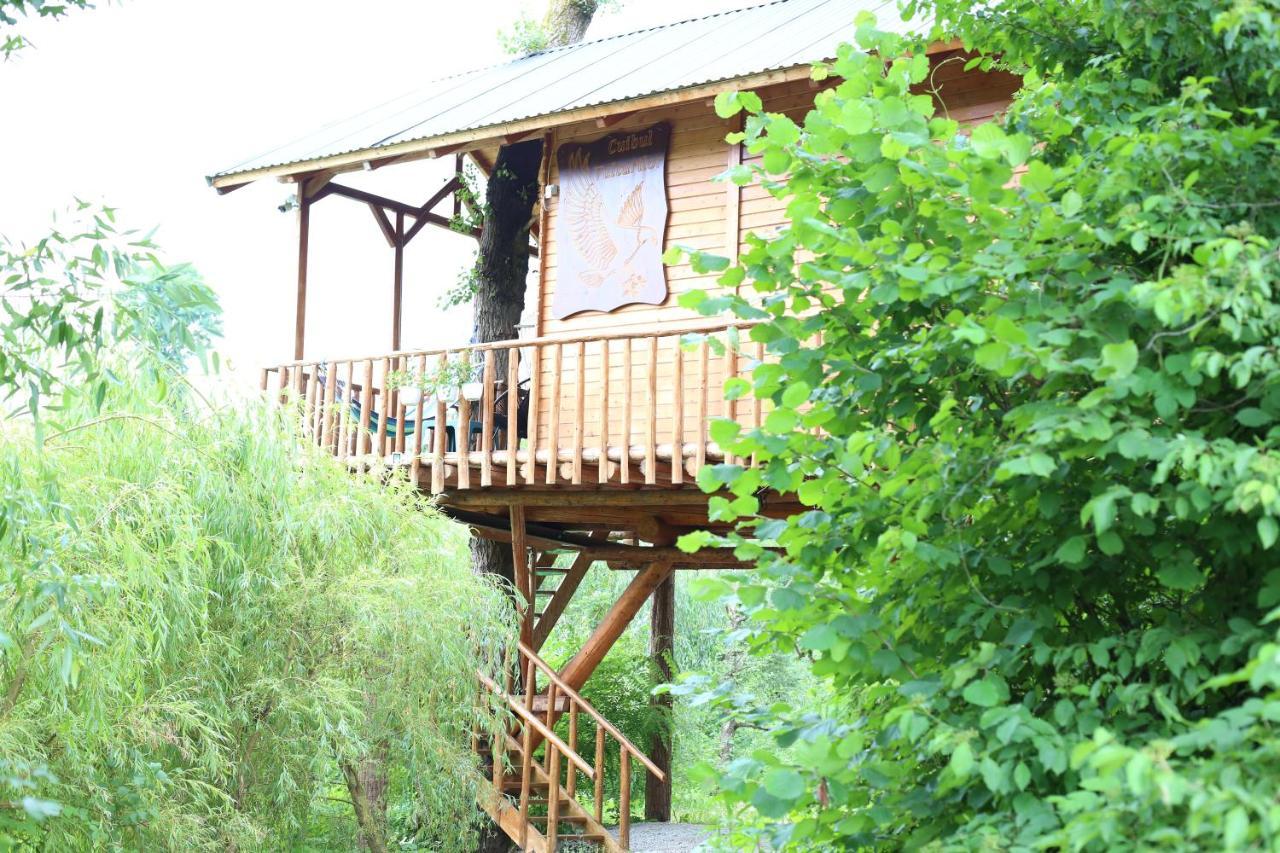 Cuibul Vulturilor - Casuta In Copac Villa Moisei Bagian luar foto