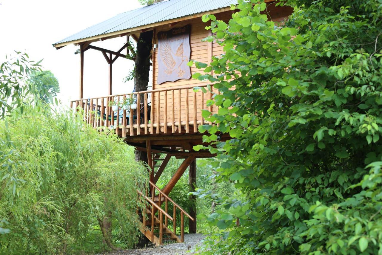 Cuibul Vulturilor - Casuta In Copac Villa Moisei Bagian luar foto