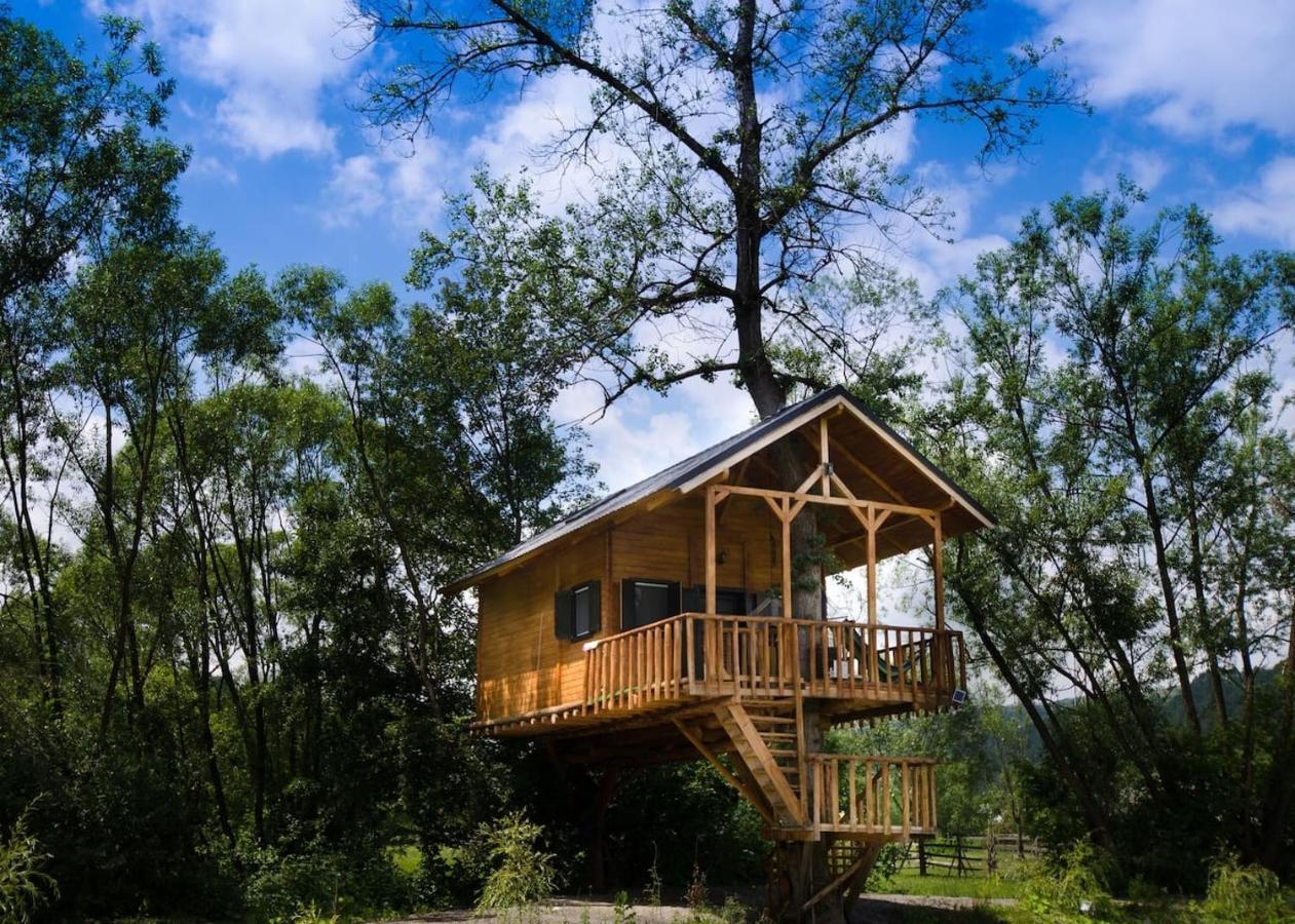Cuibul Vulturilor - Casuta In Copac Villa Moisei Bagian luar foto